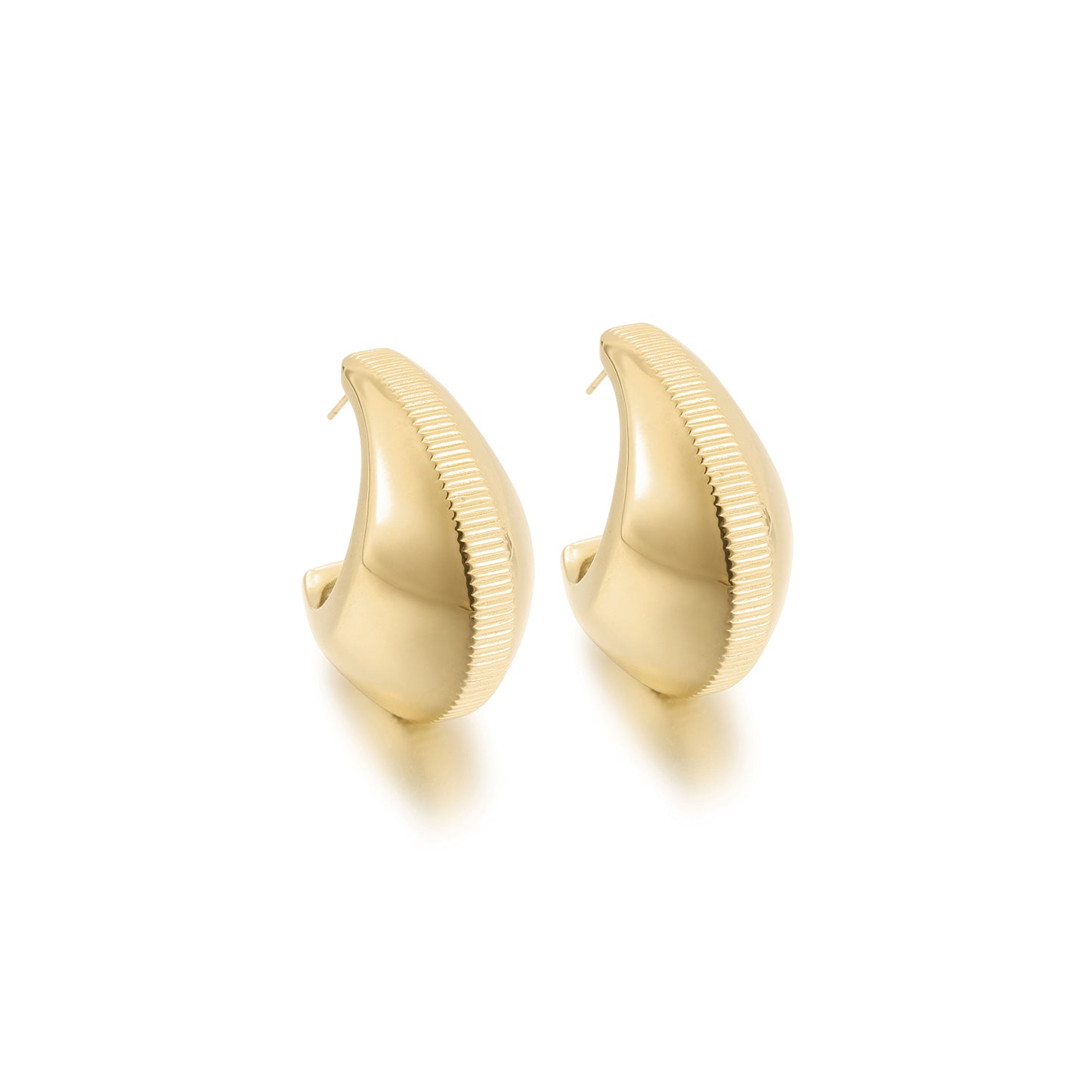 Stainless steel shell earrings-SCE387ST