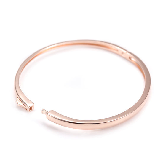 Stainless steel smooth surface bracelet-SSH067