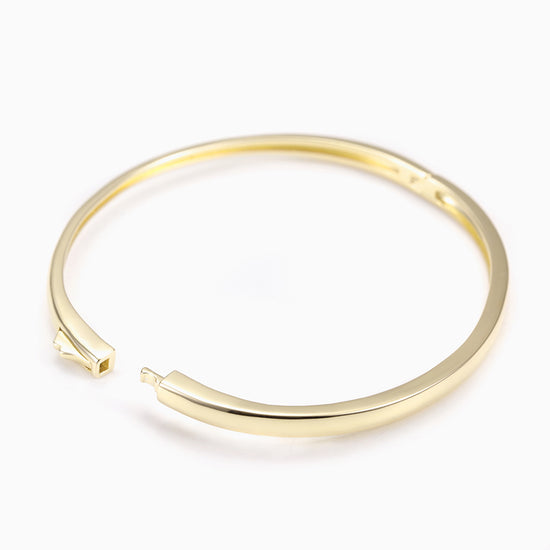 Stainless steel smooth surface bracelet-SSH067